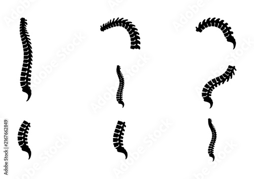 Spine Anatomy Icons, Vertebrae Silhouette Set, Medical Spinal Column Illustrations