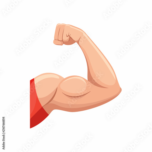 Bras fléchi montrant un biceps en force