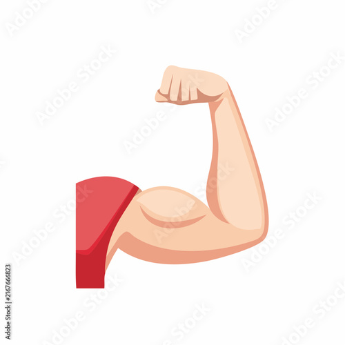 Bras fléchi montrant un biceps en force