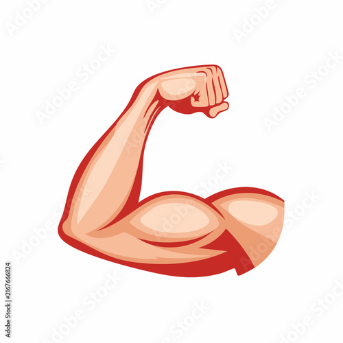 Bras fléchi montrant un biceps en force