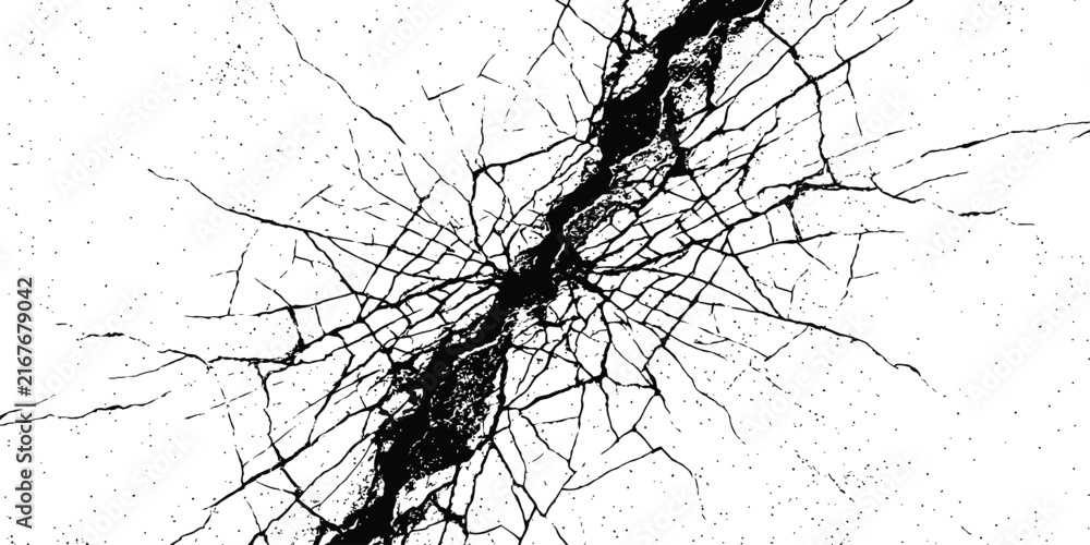 Fototapeta premium Black and White Cracked Earth Texture Background with Dry Ground Pattern