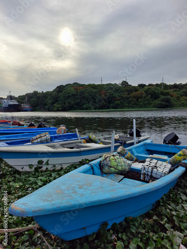Foto Blue wooden fishing boat carrying nets docked among water hyacinths along a rive