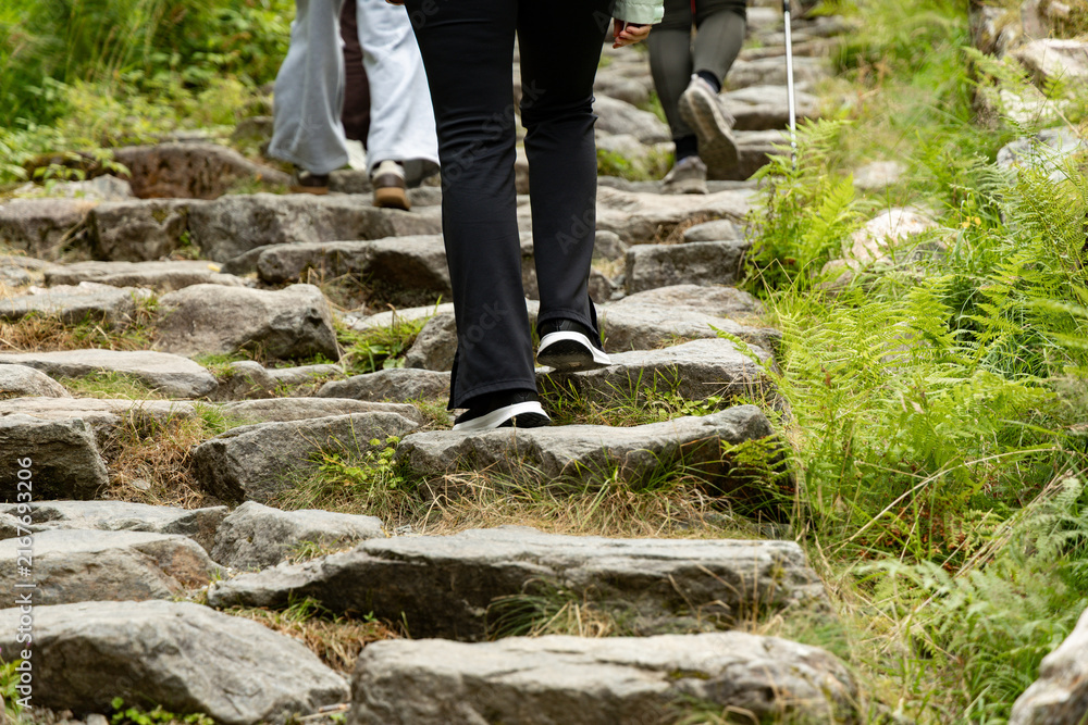 Fototapeta premium Individuals hiking up a mountain trail on uneven stone steps surrounded by lush greenery and natural vegetation in a scenic outdoor environment
