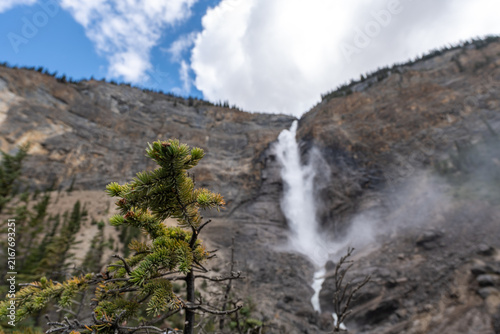 Takakkaw Falls in Yoho National Park, Canada, cascading down a dramatic Rocky Mountain cliff above dense evergreen forest on a scenic summer day.