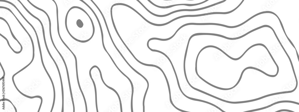 Fototapeta premium Topographic Contour Line Background, Abstract Terrain Map Pattern with Elevation Lines for Geographic and Outdoor Design.