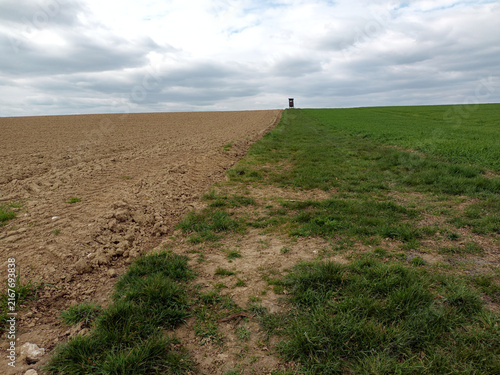 Field boundary between plowed farmland and green crops in the Hunsrück, Germany