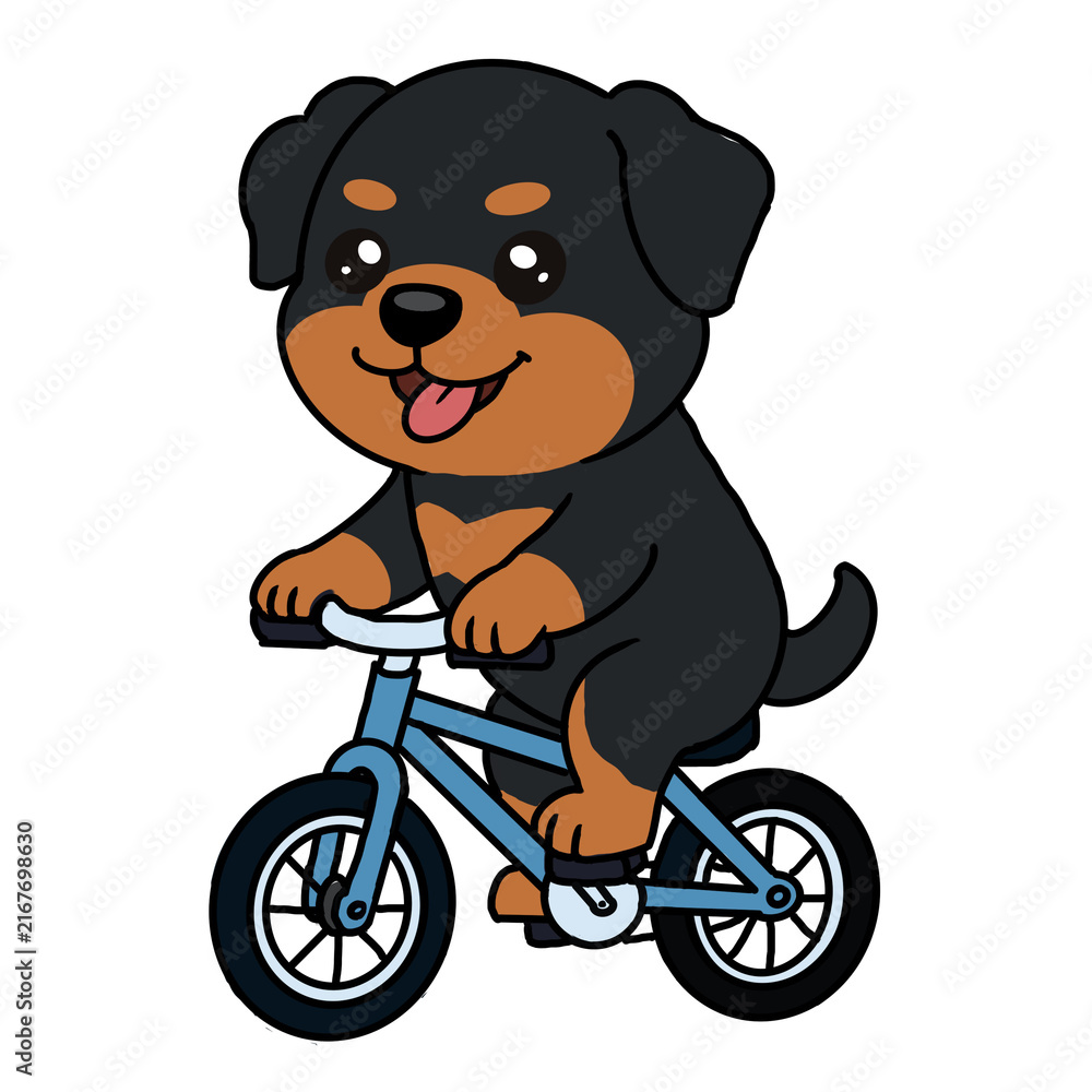 Fototapeta premium Cute cartoon rottweiler puppy riding a bicycle