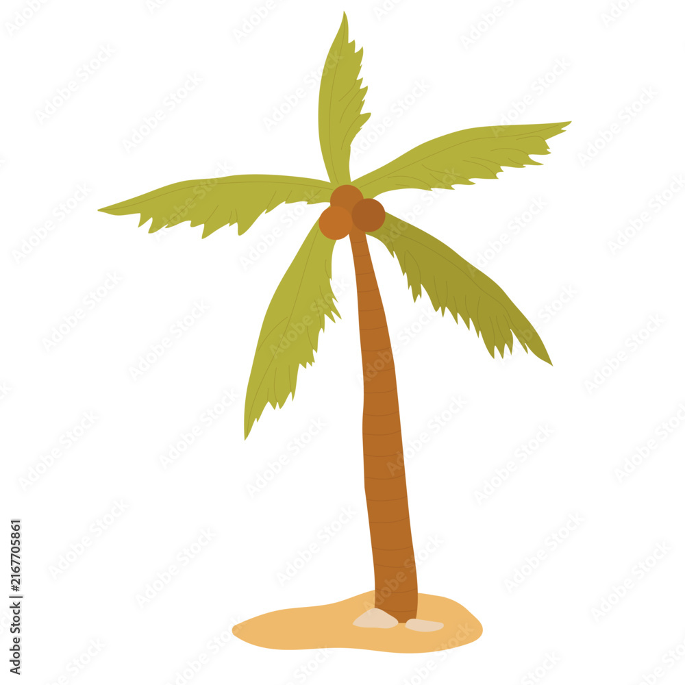 Fototapeta premium Coconut palm tree, exotic summer sea beach plant vector illustration. Cartoon beachside palm tree growing in sand, paradise seaside nature isolated on white