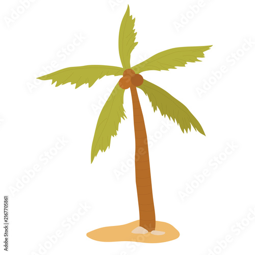 Coconut palm tree, exotic summer sea beach plant vector illustration. Cartoon beachside palm tree growing in sand, paradise seaside nature isolated on white