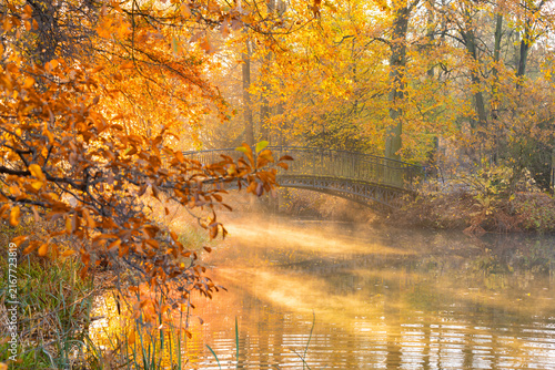 Misty autumn morning in a park with pathways, small bridges, and ponds in the first rays of the golden sun, Pszczyna, Poland