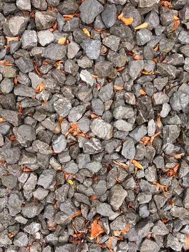 Фотография A close-up view of gray, irregularly shaped loose rocks with scattered dry, brown leaves among them