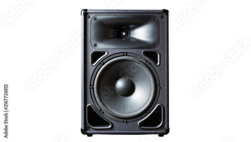 Quadro su tela Professional studio monitor speaker with horn tweeter and woofer, isolated on tr