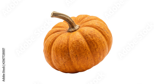 Canvastavla Single ripe orange pumpkin with textured skin and a woody stem