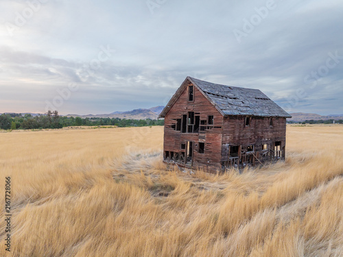 Lonely, dilapidated barn sits in vast golden grassland