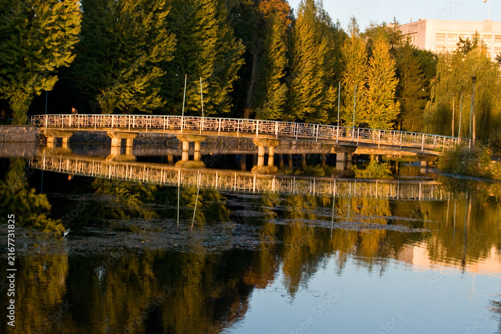 Fototapeta premium bridge over the river