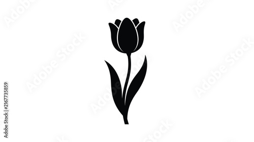 Black tulip flower silhouette against a white background silhouette