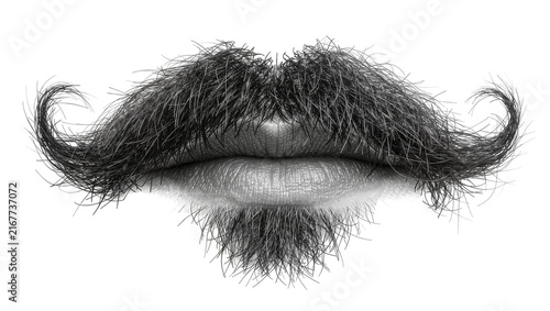 Konstfotografi Black curly handlebar mustache and soul patch, isolated on transparent backgroun