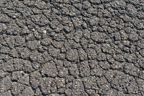 A dense network of deep fractures webs across the rough, weathered asphalt. An expressive texture of decay capturing the raw essence of passing time and urban deterioration in detail.