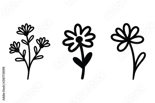 Hand drawn floral collection featuring simple wildflowers and delicate botanical elements