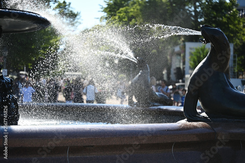 A close-up view of a fountain featuring a seal sculpture spouting water into the basin