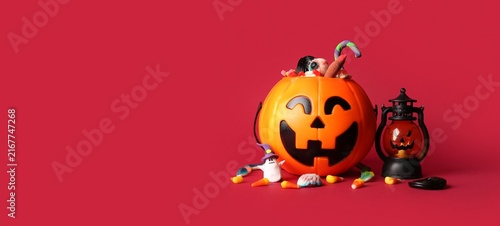 Foto Halloween celebration and trick or treat concept, jack-o'-lantern bucket with ca
