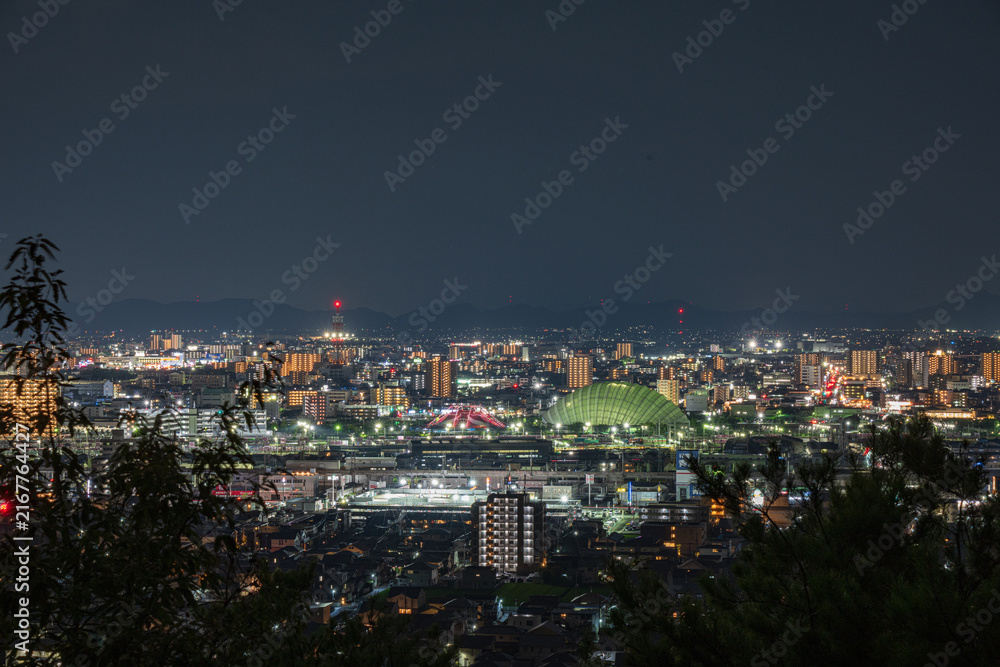 Fototapeta premium 日本の岡山県岡山市のとても美しい都市夜景