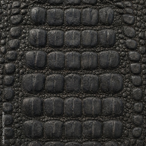reptile skins