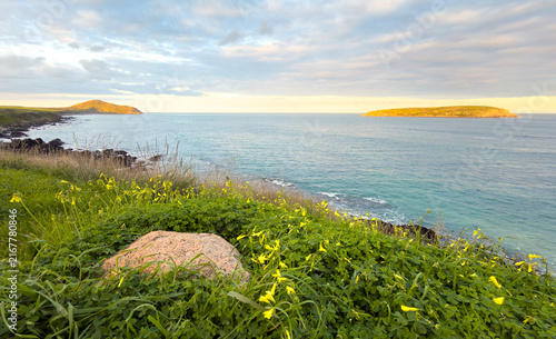 Beautiful landscape scenery on the Heysen Trail near Kings Beach with wild coastal views towards The Bluff in Encounter Bay, South Australia at dusk