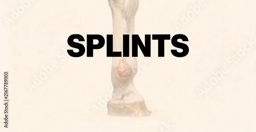 A close-up of a horse's leg shows the text SPLINTS overlaid, highlighting a medical condition affecting the animal.