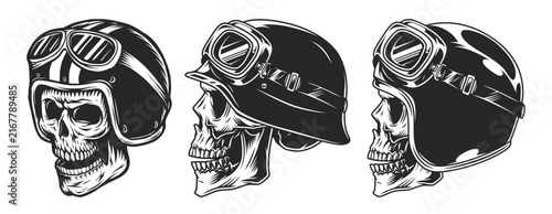 vector illustration