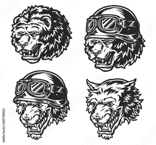 vector illustration