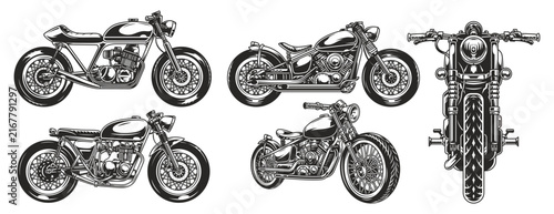 vector illustration