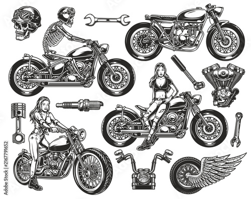 vector illustration