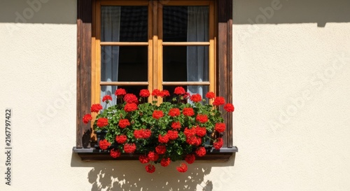 Window with a wooden frame, flowers, and a light-colored wall