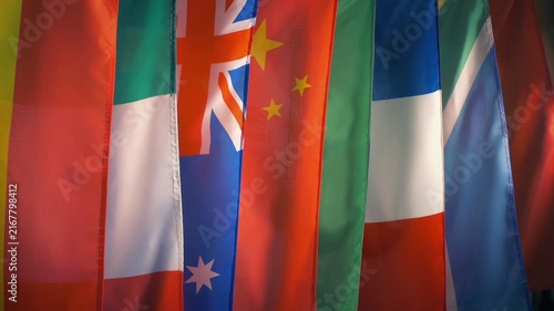 Row Of International Flags Moving Shot
