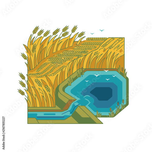 isometric wheat field with river vector illustration. SVG Editable. Vector Illustrations.