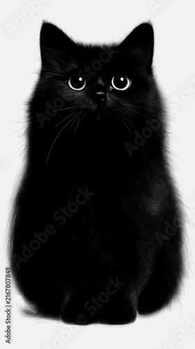 realistic digital painting of a fluffy black cat with large expressive eyes isolated on a white background concept for nursery decor stationery children illustration and printable artwork