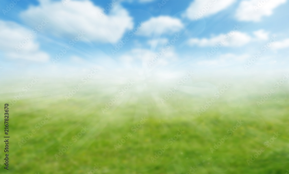 Fototapeta premium Spring grass and sky blurred abstract background
