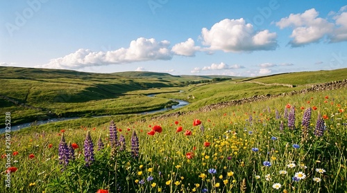 Lush Green Meadow with Colorful Wildflowers Winding River and Stone Wall Under Blue Sky
