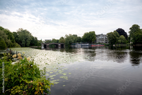 View across the Außenalster lake beneath willow trees in Hamburg, Germany.