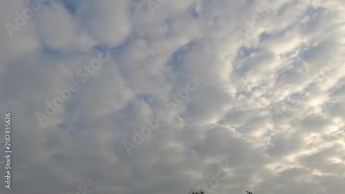 Time-lapse video of a dense altocumulus cloudscape, often called a mackerel sky, moving slowly. Great atmospheric background for weather concepts.