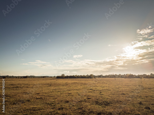 Foto Wide panorama of a pasture in Zasavica, Vojvodina, Serbia, showing dry grassland, scattered trees and open agricultural countryside under warm low sunlight and a broad summer sky