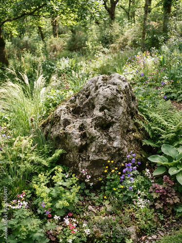 Large mossy garden stone surrounded by diverse wildflowers and ferns in lush green forest shady woodland area.