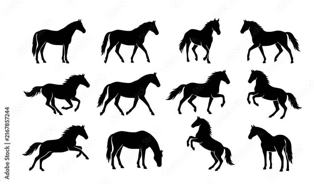 Obraz premium Horse Silhouette Collection with Walking Galloping and Rearing Equine Poses