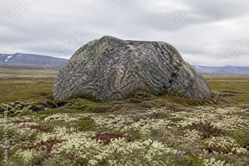 A massive glacial erratic rock embedded in a tundra landscape with lichen.