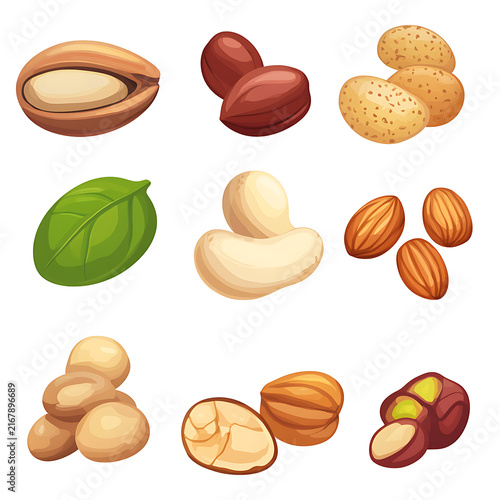 Premium mixed nuts isolated on white background, healthy snack assortment with almonds, cashews, walnuts.