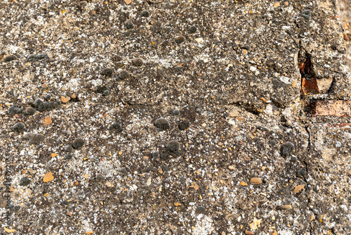 Old stone and mortar wall texture with moss and embedded pebbles
