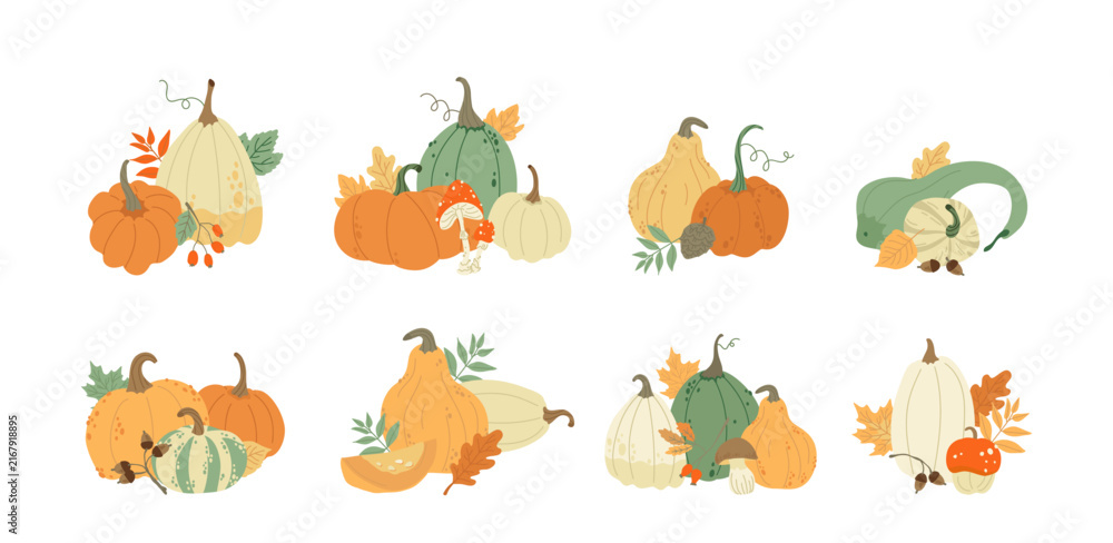 Fototapeta premium Pumpkin Harvest Autumn Compositions Set