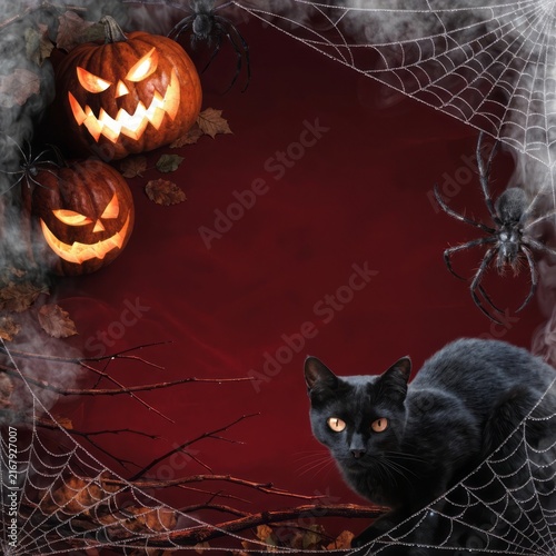 Spooky Halloween Scene with Black Cat, Jack-o’-Lanterns, and Cobwebs in Dark Atmosphere