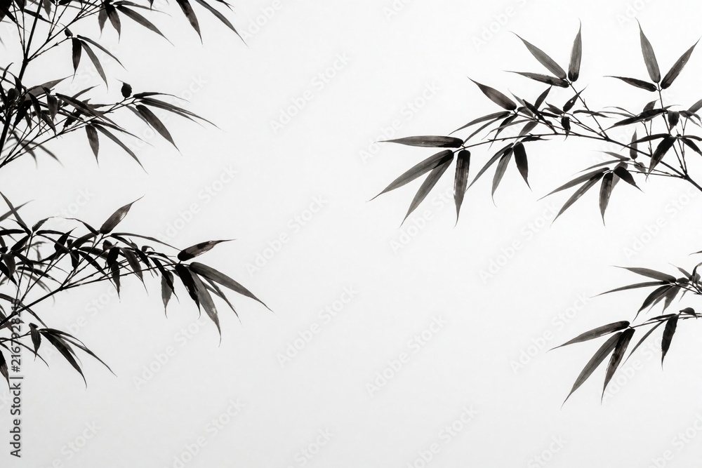 Fototapeta premium Bamboo branches with dark leaves spread across a clean white background. Minimalist style, natural elements, and oriental art feel. Perfect for design, spa, and zen themes.